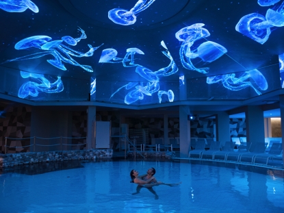 Hotel Plaza Sensorypool & Spa Abano Terme
